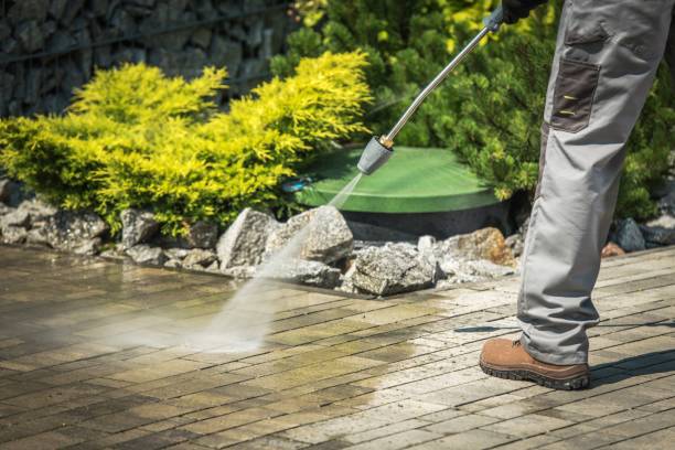 Best Patio and Deck Pressure Washing  in Pecan Grove, TX