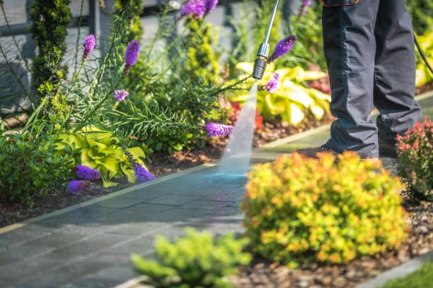 Best Animal Enclosure Cleaning  in Pecan Grove, TX