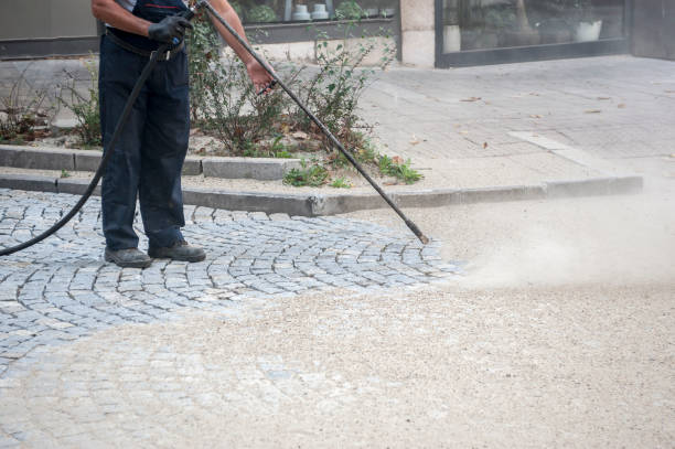 Best Sidewalk and Walkway Cleaning  in Pecan Grove, TX